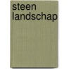 Steen landschap by J. Doms