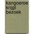 Kangoeroe krijgt bezoek