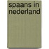 Spaans in Nederland
