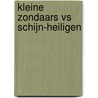 Kleine zondaars vs schijn-heiligen door C. Hutsebaut