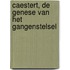 Caestert, de genese van het gangenstelsel
