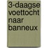 3-Daagse voettocht naar Banneux