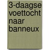 3-Daagse voettocht naar Banneux by M. Huls