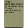 L'impact socio-economique du TGV-Thalys dans l'euregio Meuse-Rhin le TGV en vitrine door Onbekend