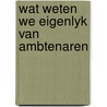 Wat weten we eigenlyk van ambtenaren by Wiebe Braam