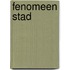 Fenomeen stad
