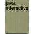 Java interactive