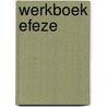 Werkboek Efeze by J. van Dorp