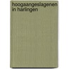 Hoogaangeslagenen in harlingen door Leonhard Huizinga