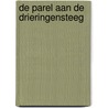 De Parel aan de Drieringensteeg door S.B.N. Mayer-Hirsch