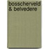 Bosscherveld & Belvedere