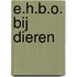 E.H.B.O. bij dieren