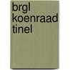 BRGL Koenraad Tinel by Josse de Pauw