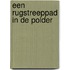 Een rugstreeppad in de polder