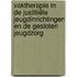 Vaktherapie in de justitiële jeugdinrichtingen en de gesloten jeugdzorg