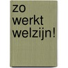 Zo werkt welzijn! door G.T. Willemsma