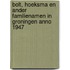 Bolt, Hoeksma en ander familienamen in Groningen anno 1947