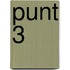 punt 3
