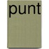 Punt