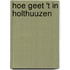 Hoe geet 't in Holthuuzen