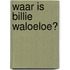 Waar is Billie Waloeloe?