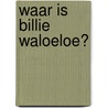 Waar is Billie Waloeloe? door E. Fontein