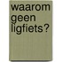 Waarom geen ligfiets?