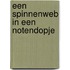 Een spinnenweb in een notendopje