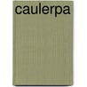 Caulerpa door Tomey