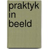 Praktyk in beeld by Blaauw