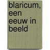 Blaricum, een eeuw in beeld door Onbekend