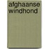 Afghaanse windhond