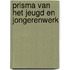 Prisma van het jeugd en jongerenwerk