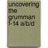 Uncovering the Grumman F-14 A/b/D
