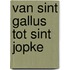 Van sint gallus tot sint jopke
