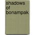 Shadows of Bonampak