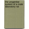 The Urogenital system of a male laboratory rat by J. te Kiefte