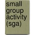 Small Group Activity (SGA)