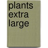 Plants extra large door Ki Plant International
