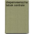 Diepenveensche Tabak Centrale