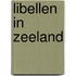 Libellen in Zeeland