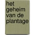 Het Geheim van de Plantage