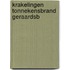 Krakelingen tonnekensbrand geraardsb