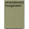 Veranderend Hoogeveen door Lammert Huizing