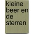 Kleine beer en de sterren