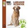 De Labrador Retriever door Ninette Haitsma