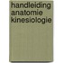 Handleiding anatomie kinesiologie