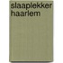 Slaaplekker Haarlem