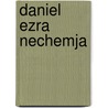 Daniel Ezra Nechemja door A. Koster
