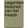 Negentien bloemen van het kwade by Charles Baudelaire
